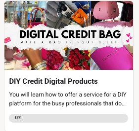 PLR DIGITAL BAG MODULE UNLOCK