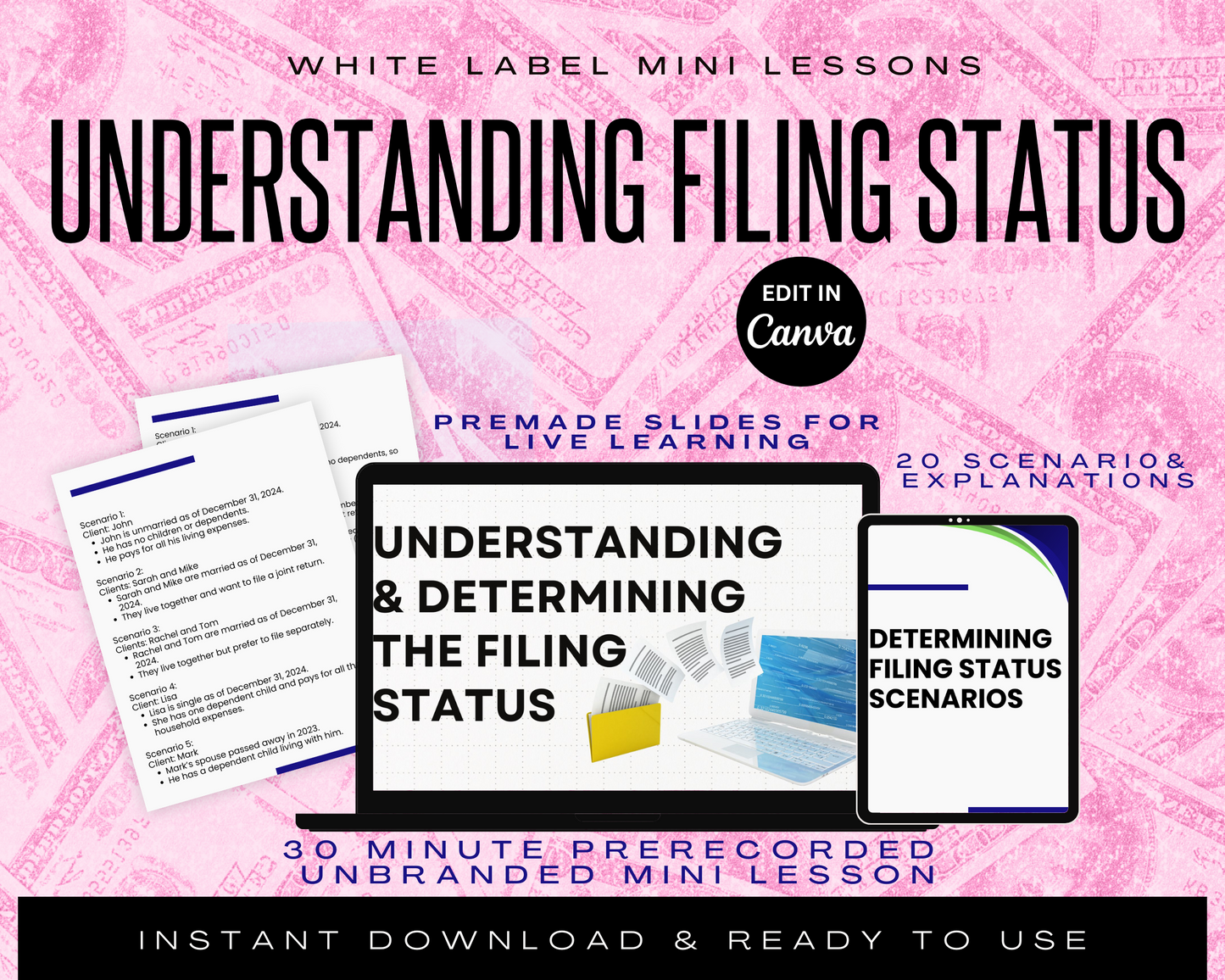 PLR Mini Lesson: Understanding the Filing Status