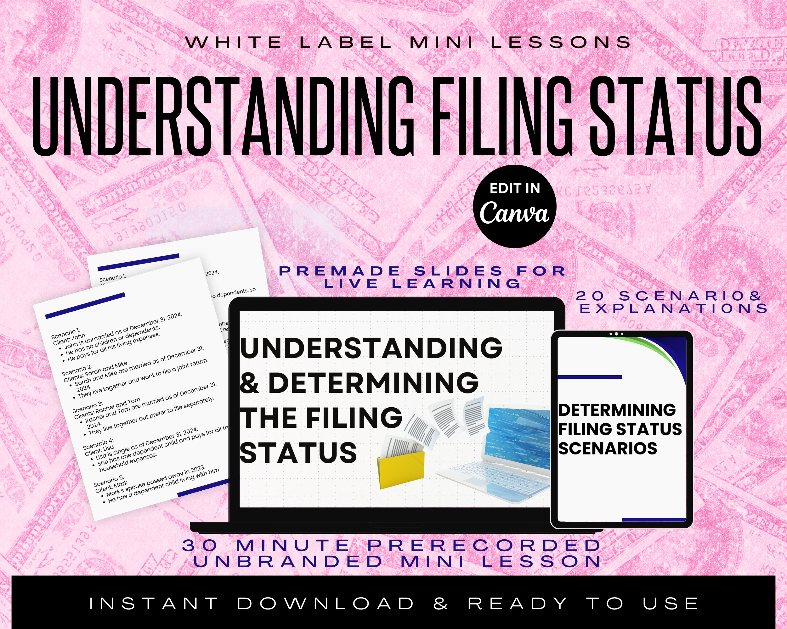 PLR Mini Lesson: Understanding the Filing Status