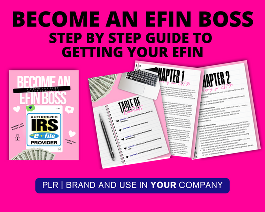 PLR: Become an EFIN Boss: Step by Step Guide to Getting Your EFIN